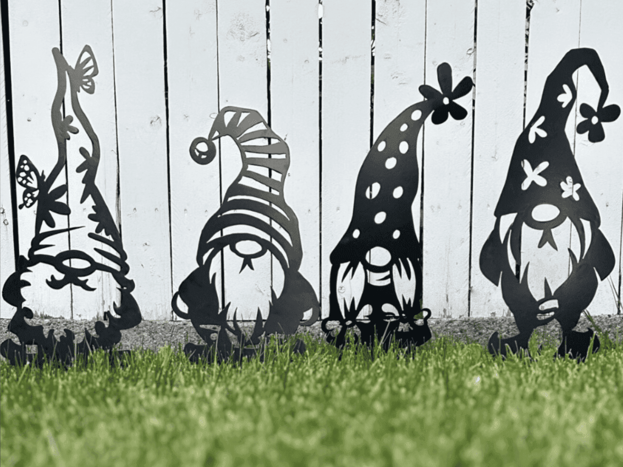 Header Image (1)