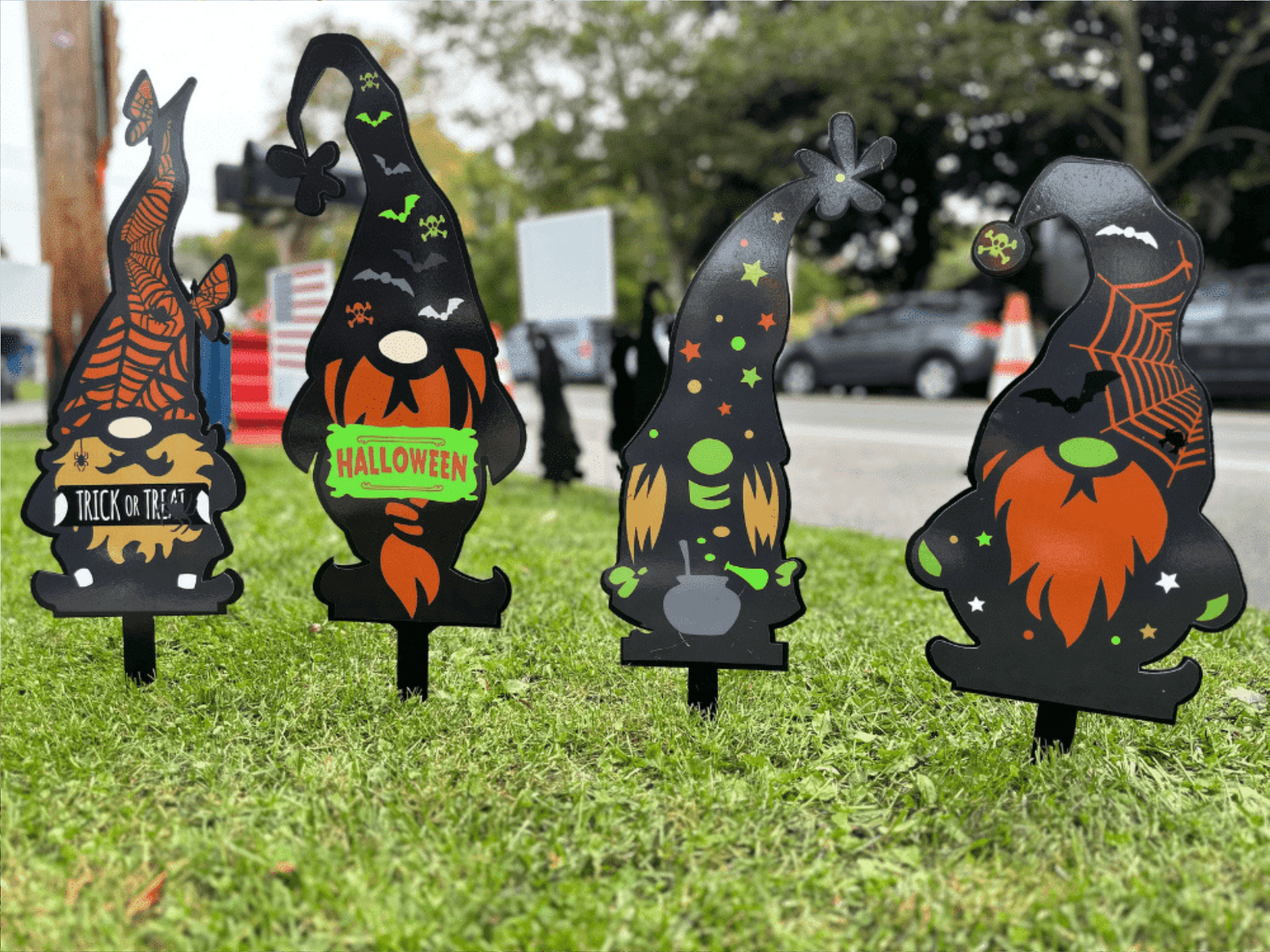 Header Image hollo