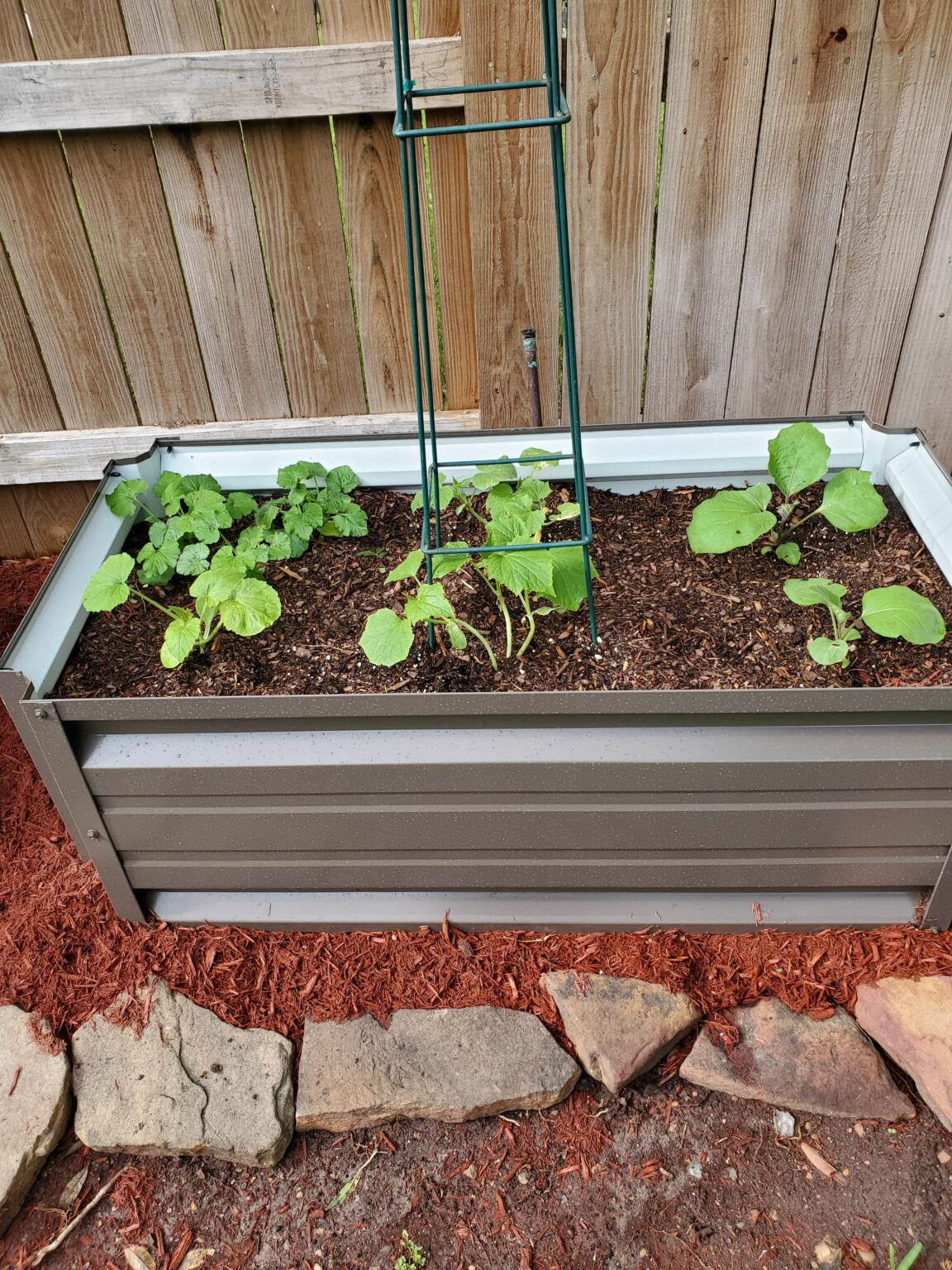 Planter Box Gallery – Planter Box Direct